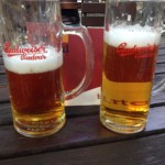 Bierstöckl - Wien