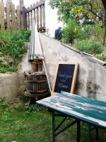 Dornröschen-Keller - Im Gastgarten unter den Weinreben - Dornröschen Keller - Wien