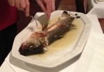 Branzino, frisch aus dem Ofen - Ragusa - Wien