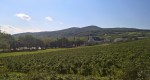 Blick aufs Freigut Thallern, im Hintergrund der 675m hohe Anninger - Klostergasthaus Thallern - Gumpoldskirchen