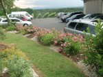 Weingut Buschenschank Trummer - Gartenbereich und vorderer Parkplatz - Weingut Buschenschank Trummer - St. Veit in der Südsteiermark