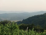 Weingut Buschenschank Krautgasser - Leibnitz