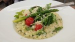 spargelrisotto - Rathaus - Korneuburg