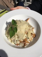 Risotto mit Eierschwammerl, erstklassig - Stainzerhof - Stainz