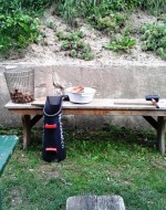 Dornröschen-Keller - Im Gastgarten unter den Weinreben - Dornröschen Keller - Wien