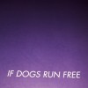 IF DOGS RUN FREE