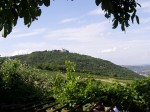 Blick auf den Kahlenberg - Sirbu Hans - Wien