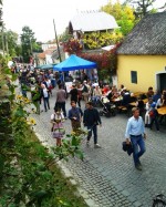 Dornröschen-Keller - Blick auf die Stammersdorfer Kellergasse - Dornröschen Keller - Wien