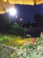 Strandgasthaus Birner - Blick auf den Donauturm - Strandgasthaus Birner - Wien