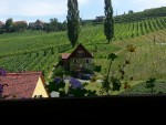 Blick von der Terrasse - Weingut Georgiberg - Berghausen