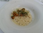 Eierschwammerlrisotto, Trüffel - Eckstein - Graz