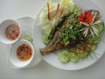 Vietthao - Wien