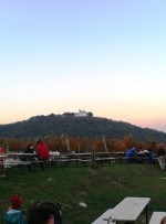 Wieninger am Nussberg - Blick auf den Leopoldsberg - Wieninger am Nußberg - Wien