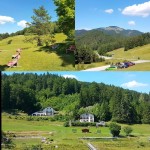 Panorama - Alpengasthof Kalte Kuchl - Kalte Kuchl