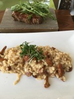 Risotto - Wellen.Spiel - Krems an der Donau