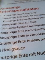 Restaurant Kung Fu - Auszug aus der Speisekarte - Kung Fu Restaurant - Wien