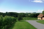 Buschenschank Bernhard - Blick in die hügelige Landschaft - Weingut Buschenschank Bernhard - Leibnitz