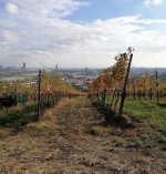 Wir haben es schon wieder getan, im Hintergrund die lebenswerteste Stadt des ... - Emmerich - Wien