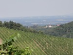 Weingut Buschenschank Kögl - Ratsch an der Weinstraße