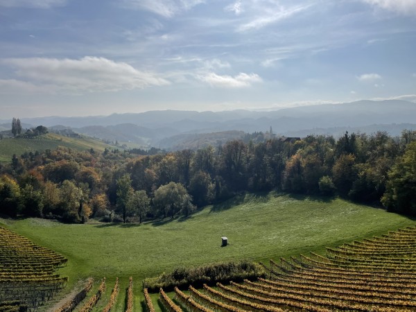 Aussicht, ohne Worte. - Buschenschank Repolusk Roland & Barbara - Leutschach