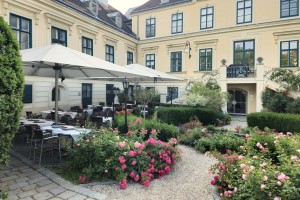 Tiziano - Gastgarten - sehr schön und stimmungsvoll - Tiziano - Wien