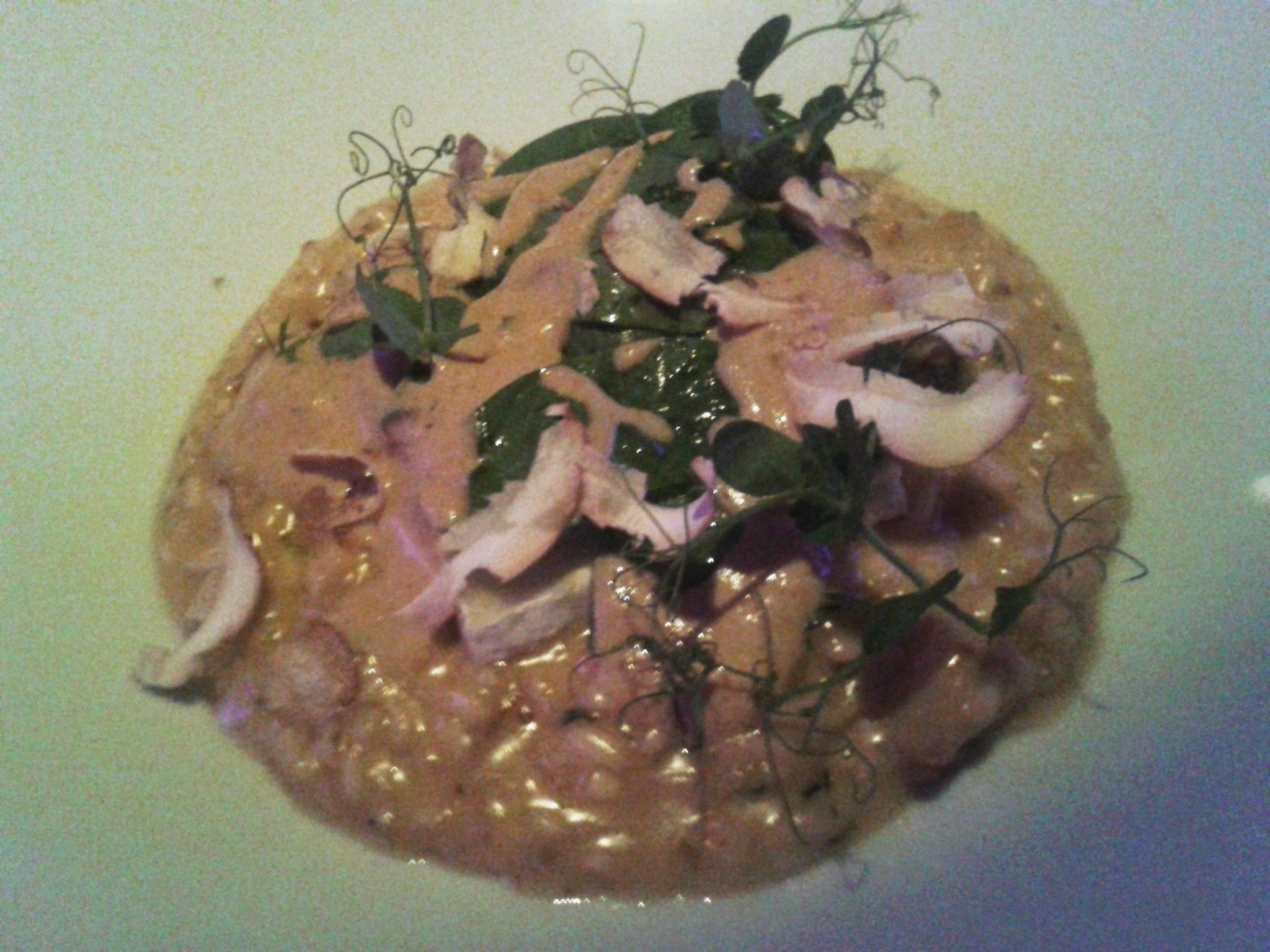 Steinpilzrisotto mit Ziegenkäse - Albertina Passage - Dinner Club - Wien