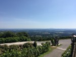 Grandioser Ausblick - Weingut & Buschenschank Lazarus - St. Stefan ob Stainz