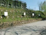 Schau- und Patenschaftsweingarten - Weingut Buschenschank Lorenz - Kitzeck im Sausal