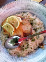 Steinpilzrisotto mit Fisch - Zwatricks - Restaurant - Cafe - Wein - Eibiswald