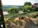 Blick vom Oberen Gastgarten auf den Unteren Gastgarten - Buschenschank Walter Skoff - Gamlitz