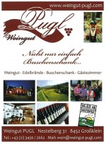 Weingut Buschenschank Pugl - Großklein