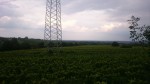 Aussicht obere Terrasse - Buschenschank Kammerer jun. - Wien