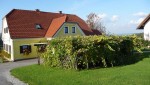 Buschenschank Bernhard - Buschenschankgebäude mit Weinlaube davor - Weingut Buschenschank Bernhard - Leibnitz