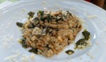 Steinpilz-Risotto mit Majoran-Pesto - Hawlik´s Schlemmereck - Bad Vöslau