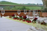 Terrasse mit Aussicht in das Südsteirische Hügelland - Birkenstub'n - Gamlitz