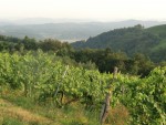 Weingut Buschenschank Krautgasser - Leibnitz