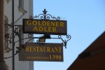 Goldener Adler