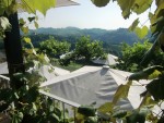 Ausblick vom Gastgarten - Buschenschank Walter Skoff - Gamlitz