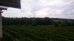 Aussicht obere Terrasse - Buschenschank Kammerer jun. - Wien