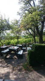 Gastgarten - Weinhof Zimmermann - Wien