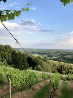 Der Ausblick: der Spitz links unter der Ballon ist die Riegersburg - Buschenschank Schleiss - Kaindorf