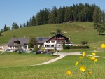 Almgasthof Windlegern - Neukirchen