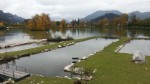 Schlossteich Stüberl - Fischrestaurant Rieger - Trautenfels