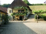 Weingut Buschenschank Kratzer - Weingut Buschenschank Kratzer - Heimschuh