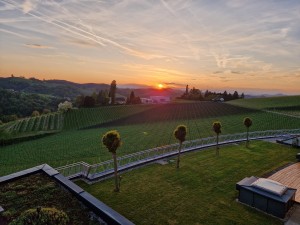 Weinrefugium Brolli - Eckberg