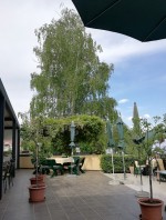 Eindrücke von der Terrasse..... - Heinzle - Weissenkirchen in der Wachau