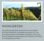 Hausprospekt - Weingärten - Weingut Buschenschank Gründl - Labuttendorf