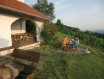 Weingut Buschenschank Krautgasser - Leibnitz