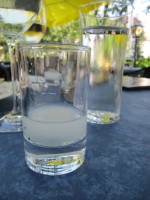 Ouzo aufs Haus - Ambrosia - Wien