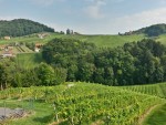 Weingut Zweytick - Ehrenhausen